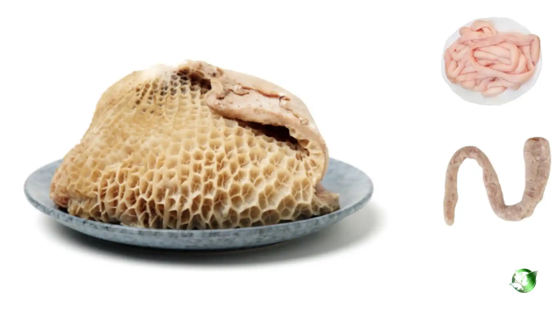 Commercial presentation of Sheep Intestine for wholesale product evaluation and buyer review.